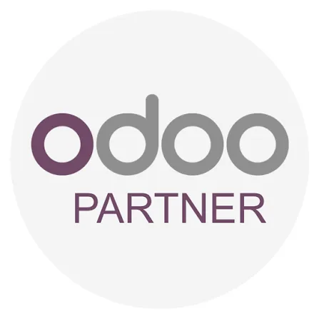Odoo ERP System